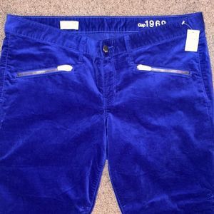 GAP- 1969 Cobalt blue velvet Skinny pants with gold detail
